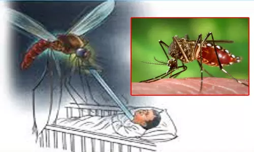 டெங்கு காய்ச்சலால் பள்ளி மாணவன் சாவு