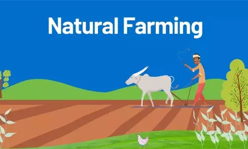 கட்டணமின்றி அங்ககச்சான்று பெற விவசாயிகளுக்கு அழைப்பு