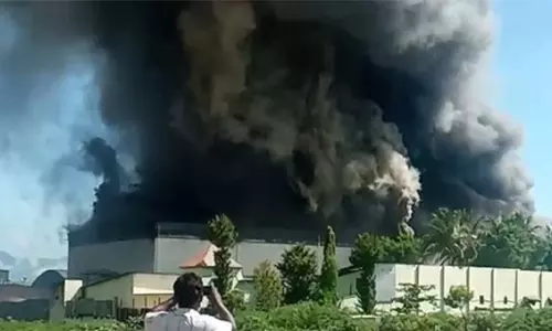 தனியார் மசாலா குடோனில் தீவிபத்து