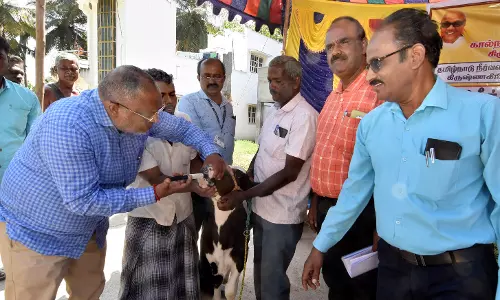 நீர்வள நில வளத்திட்ட பணிகளை ஆய்வு செய்தஅதிகாரி