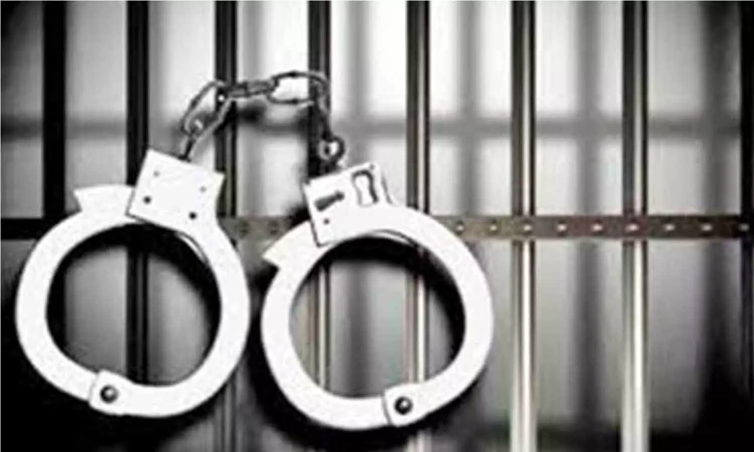 மயிலாடுதுறையில் புகையிலை பாக்கெட்டுகளை கடத்தியவர் கைது