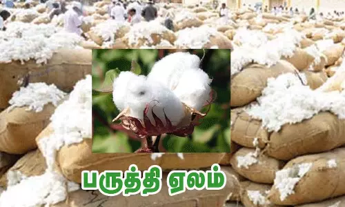 மூலனூா் ஒழுங்குமுறை விற்பனை  கூடத்தில் ரூ.1.39 கோடிக்கு பருத்தி ஏலம்