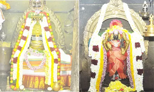 மயான கொள்ளை விழாவில் சாமி வேடம் அணிந்து பக்தர்கள் ஊர்வலம்