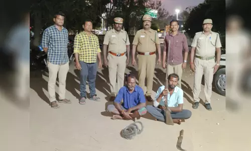 குரும்பப்பட்டி காப்புக் காட்டில்முயல் வேட்டையாடிய 2 பேர் கைது