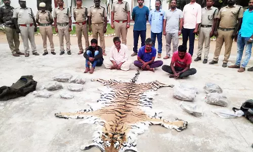 சத்தியமங்கலம் வனப்பகுதியில் புலி வேட்டையாடப்பட்டதா?