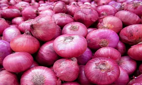 சேலத்தில் பெரிய வெங்காயம் வரத்து அதிகரிப்பு- 3 கிலோ ரூ.100-க்கு விற்பனை