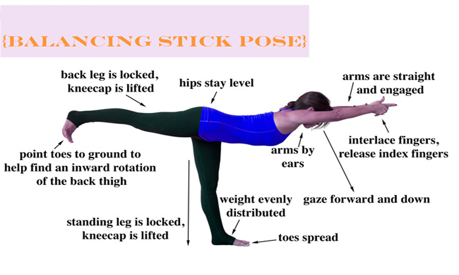 Balancing stick pose - Tuladandasana