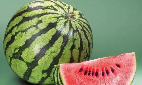 சுட்டெரிக்கும் வெயிலால் சூடுபிடிக்கும் தர்பூசணி விற்பனை