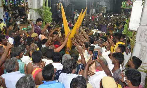 மாசி திருவிழா: பழனி மாரியம்மன் கோவிலில் கம்பம் சாட்டும் நிகழ்ச்சி இன்று நடக்கிறது