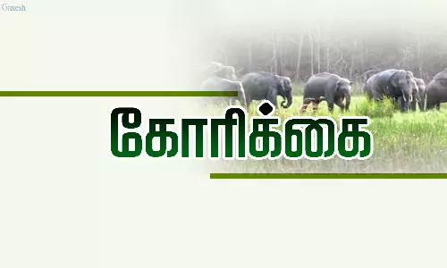 தென்காசி அருகே விளைநிலங்களை சேதப்படுத்தும் காட்டு யானைகள்