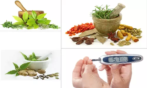 சர்க்கரை நோய்க்கு சித்த மருத்துவத்தில் சிறப்பு சிகிச்சை