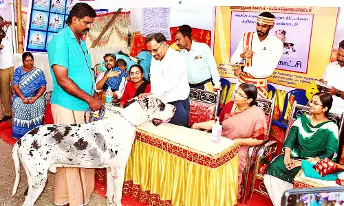 மயிலாடுதுறையில் செல்லப்பிராணிகள் கண்காட்சி; கலெக்டர் பார்வையிட்டார்