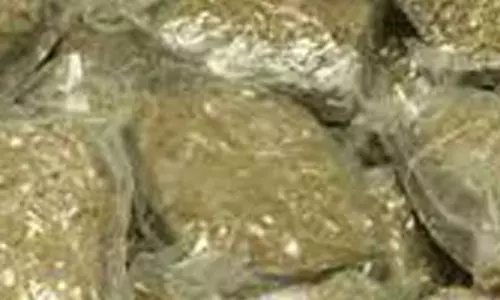 கஞ்சா கடத்திய வி.ஏ.ஓ.  பணியிடை நீக்கம்