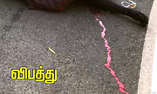 பாப்பாக்குடி அருகே பனை மரத்தில் கார் மோதிய விபத்தில் முதியவர் பலி - பிறந்த நாளில் இறந்த சோகம்