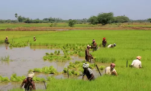 வேளாண் பொருட்கள் மதிப்பு கூட்டுதல் குறித்து விவசாயிகளுக்கு பயிற்சி