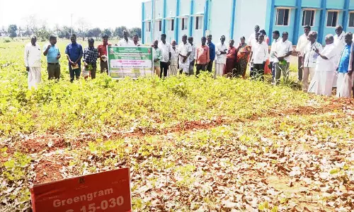 சேத்துப்பட்டில் விவசாயிகளுக்கு பயிற்சி