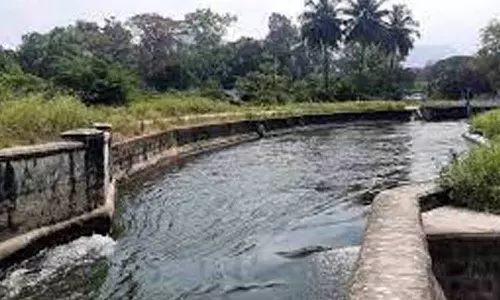 பி.ஏ.பி., 3-ம் மண்டல பாசனத்தில் மூன்றாம் சுற்றுக்கு தண்ணீர் திறப்பு