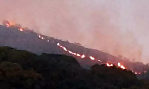 2-வது நாளாக பற்றி எரிகிறது காட்டுத்தீயை கட்டுப்படுத்த முடியாமல் வனத்துறையினர் தவிப்பு