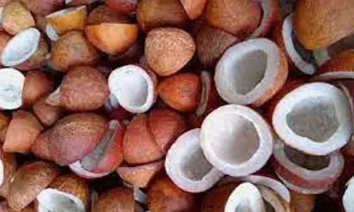 வெள்ளகோவிலில் ரூ.55 லட்சத்திற்கு தேங்காய் பருப்பு ஏலம்