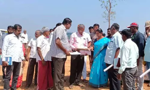 தொன்னகுட்டஅள்ளி ஊராட்சியில்   கலெக்டர் சாந்தி ஆய்வு