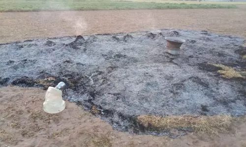 மரக்காணம் அருகே   காராமணி பயிர் தீ வைத்து எரிப்பு:ரூ. 2 லட்சம் சேதம்