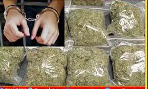 கஞ்சா வைத்திருந்த வாலிபர் கைது