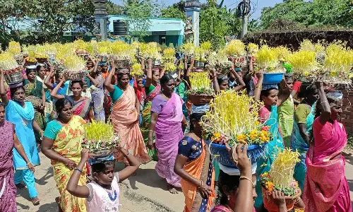 ஆலங்குடி மேற்பனைக்காடு வீரமாகாளியம்மன் கோவிலில் முளைப்பாரி எடுப்பு திருவிழா