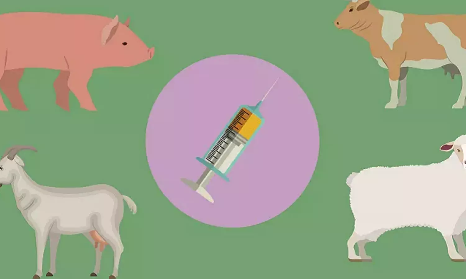 கால்நடைகளுக்கான 3-வது சுற்று  கோமாரி நோய் தடுப்பூசி முகாம்