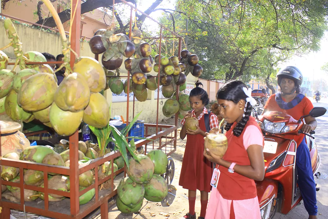 நெல்லையில் கோடை தொடங்கும் முன்பே சுட்டெரிக்கும் வெயில் - பழங்கள், குளிர்பானங்கள் விற்பனை அமோகம்