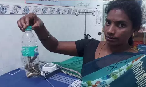 மகனை கடித்த பாம்புடன் மருத்துவமனைக்கு வந்த தாய்