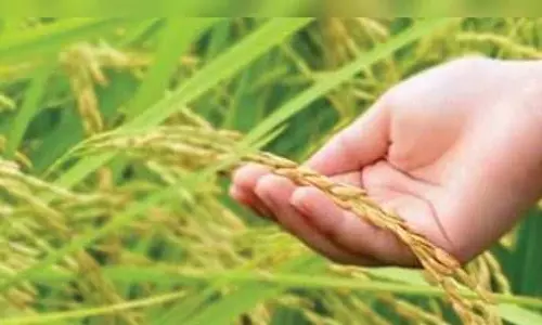 அரியலூரில் விவசாயிகள் குறைதீர்க்கும் நாள் கூட்டம்