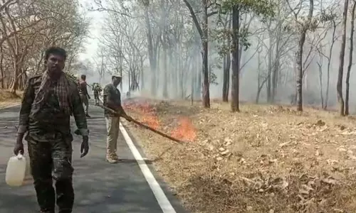 கக்கநல்லா-தொரப்பள்ளி இடையே  தீத்தடுப்பு கோடுகள் அமைக்கும் பணி
