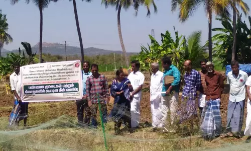 பண்ணை குட்டையில் மீன் வளர்ப்பு பயிற்சி