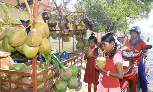 நெல்லையில் கோடை தொடங்கும் முன்பே சுட்டெரிக்கும் வெயில் - பழங்கள், குளிர்பானங்கள் விற்பனை அமோகம்