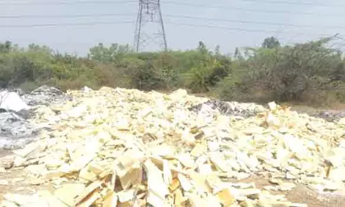 திருவள்ளூர் அருகே தொழிற்சாலை கழிவுகள் ஏரியில் கொட்டி எரிப்பு- கிராம மக்கள் குற்றச்சாட்டு