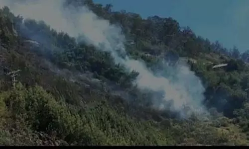 ஊட்டி அருகே  காட்டுத்தீயை 3 மணி நேரத்தில் வனத்துறையினர் கட்டுப்படுத்தினர்