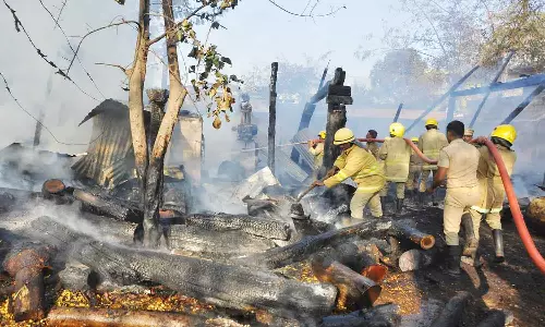 வேலூரில் மரக்கடையில் பயங்கர தீ விபத்து