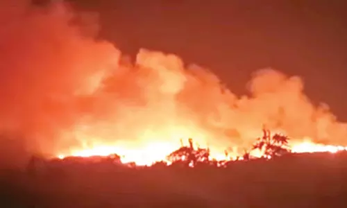 சோளிங்கர் நகராட்சி குப்பை கிடங்கிற்கு தீ வைப்பு