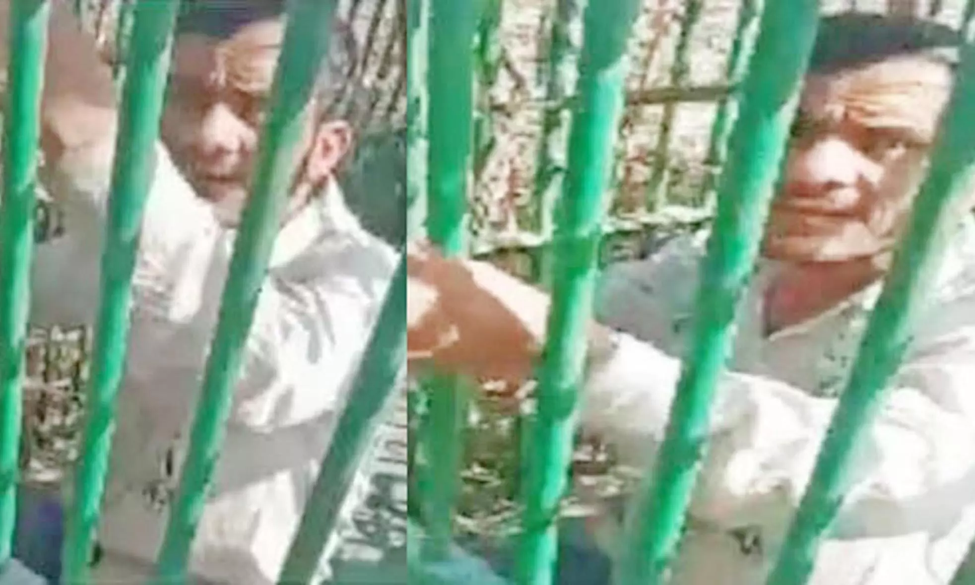 சிறுத்தையை பிடிக்க வைத்த கூண்டுக்குள் சிக்கிய தொழிலாளி- கோழி பிடிக்க சென்று மாட்டிக்கொண்ட பரிதாபம் சிறுத்தையை பிடிக்க வைத்த கூண்டுக்குள் சிக்கிய தொழிலாளி- கோழி பிடிக்க சென்று மாட்டிக்கொண்ட பரிதாபம்