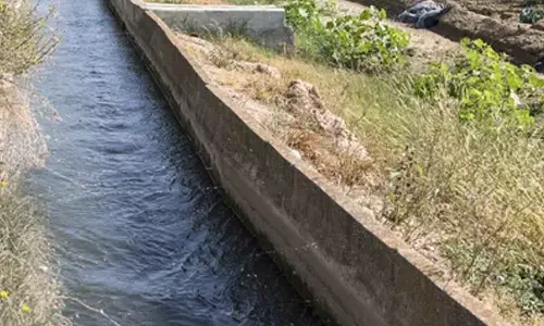 புதுப்பாளையம் கிளை கால்வாயில் புதுப்பிப்பு பணிகள் தீவிரம்