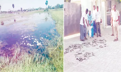 தொழிற்சாலை முன்பு மீன்களை கொட்டி பொதுமக்கள் போராட்டம்