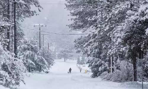 கலிபோர்னியாவில் கடும் பனிப்பொழிவு