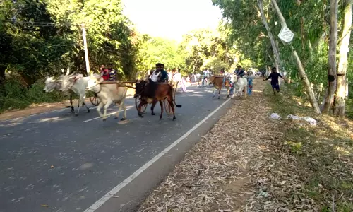 கூத்தங்குடியில் மஹா சிவராத்திரியை முன்னிட்டு மாட்டுவண்டி எல்கை பந்தையம்
