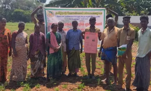 நிலக்கடலை விளைச்சலை அதிகப்படுத்த   வேளாண்மை மாணவர்கள் செயல்விளக்கம்