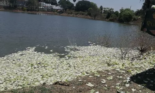 விலை வீழ்ச்சியால் முட்டைகோசுகளை ஏரியில் கொட்டிய விவசாயிகள்