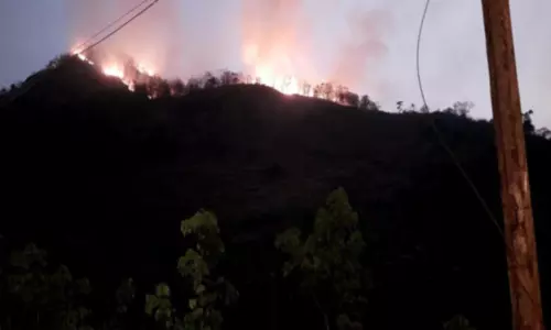 பேச்சிப்பாறை அருகே மலை பகுதிகளில் காட்டு தீ பரவுகிறது