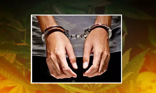 வாசுதேவநல்லூரில் பெண் கஞ்சா வியாபாரி உள்பட 4 பேர் கைது