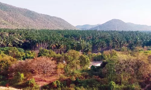 கிழக்கு பகுதிக்கு காவிரி உபரிநீர் திட்டம் விரிவுபடுத்தப்படுமா? –எதிர்பார்த்து காத்திருக்கும் விவசாயிகள்