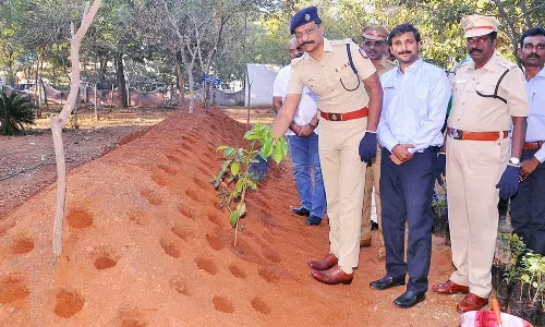 நெல்லை எஸ்.பி. அலுவலகத்தில் மியாவாக்கி முறையில் 500 மரக்கன்றுகள் நடப்பட்டது