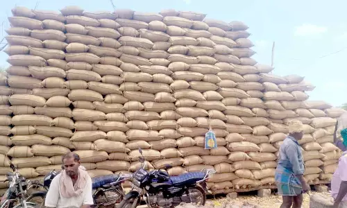 கொள்முதல் நிலையங்களில் தேங்கி கிடக்கும் நெல் மூட்டைகள்